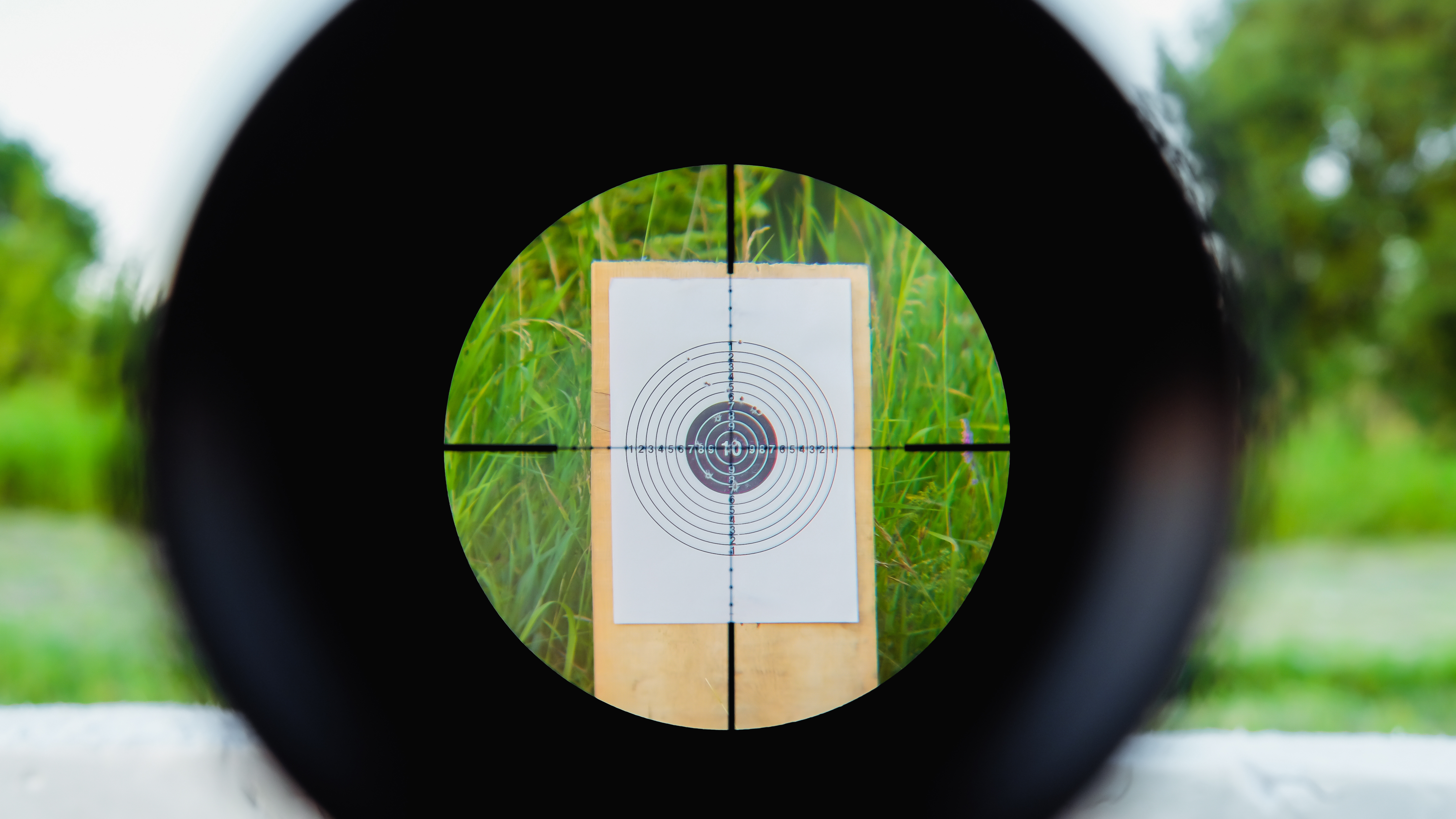 scope view of target