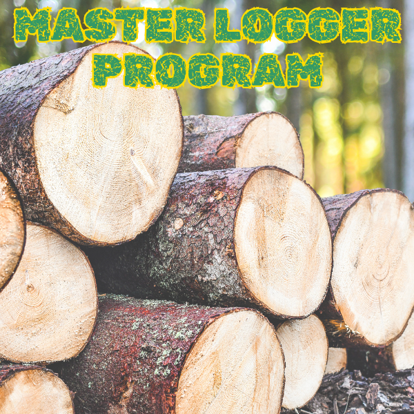 logging