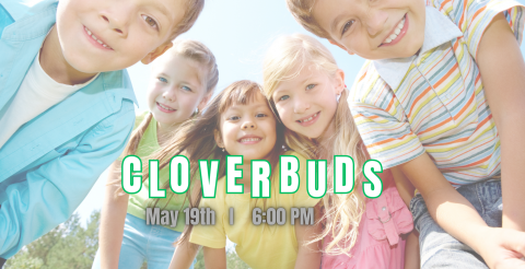 Cloverbuds