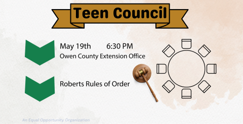 Teen Council