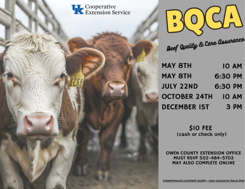 BQCA trainings