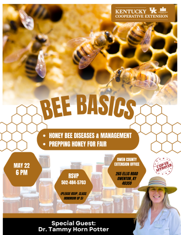 Bee Basics