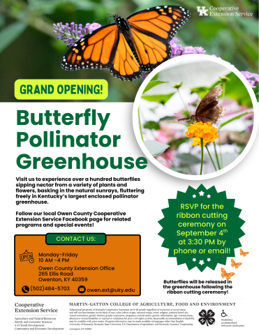 Grand Opening 