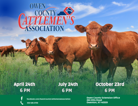 cows