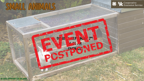 Small Animals Postponed 